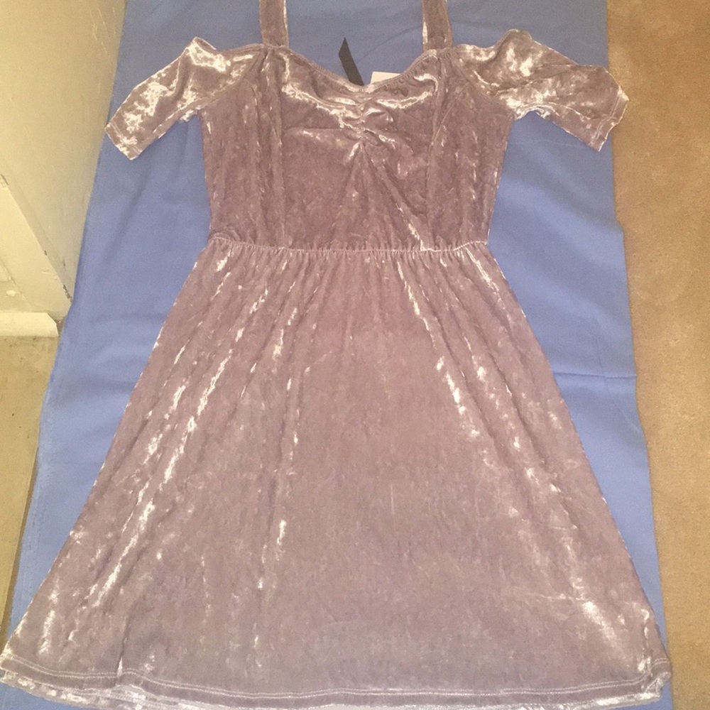 Price Drop 🚨‼️Velvet crushed Skater dress